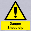 danger-sheep-dip~